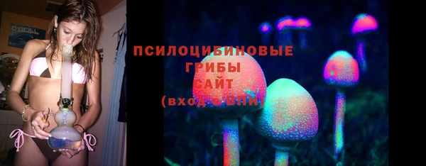 шишки Верея